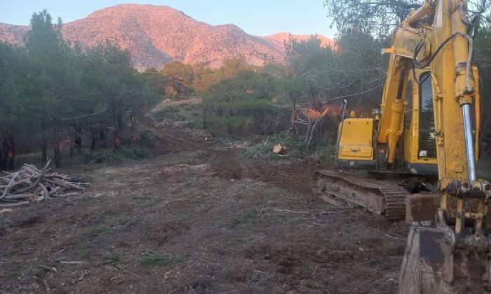 Ormanda yeni emniyet yollar alyor  