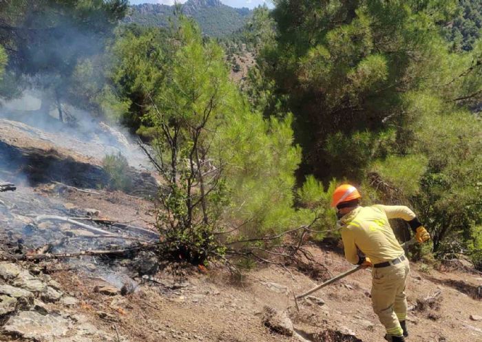 Adana Fekedeki orman yangn kontrol altna alnd