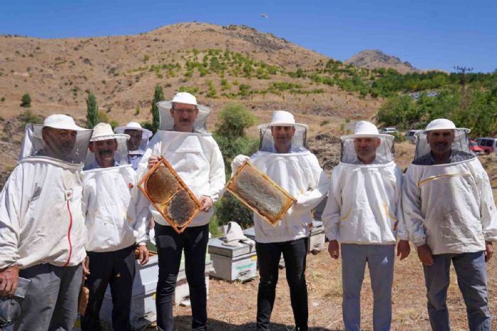 Adana’da bal hasadı başladı