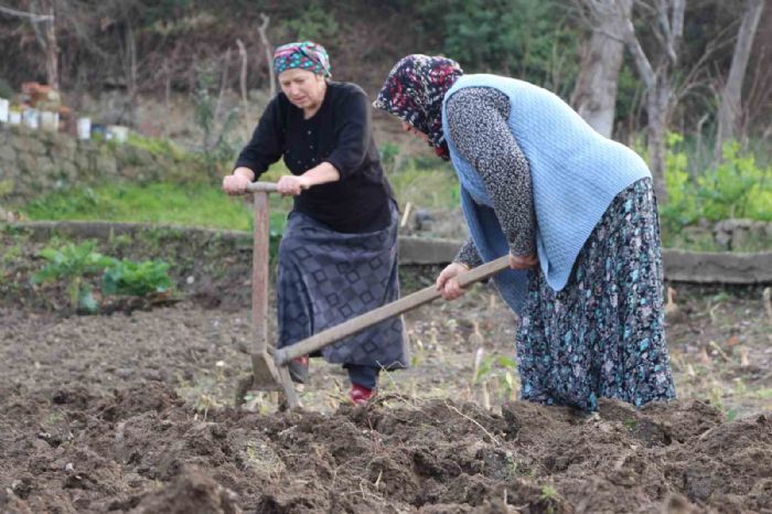 Gençler tarlaya girmiyor