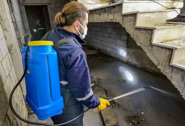 Haşerelere karşı kapsamlı kışlak çalışması başlatıldı