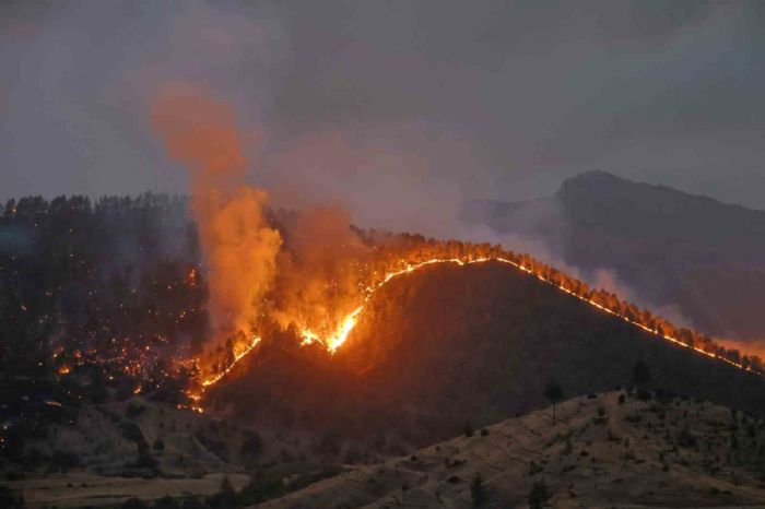 Kahramanmaraş’ta orman yangınına müdahale sürüyor