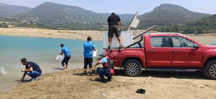 Kilgen Barajı’na 321 bin yavru sazan, baraja bırakıldı