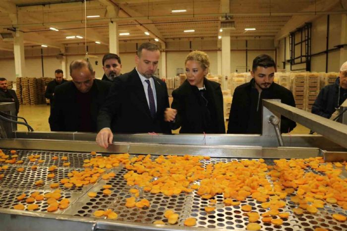 MAGİNDER, Malatya OSB’de incelemelerde bulundu