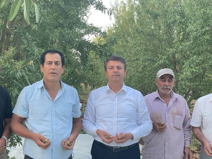 Milletvekili Tutdere: Badem Üreticisi Kara Kara Düşünüyor