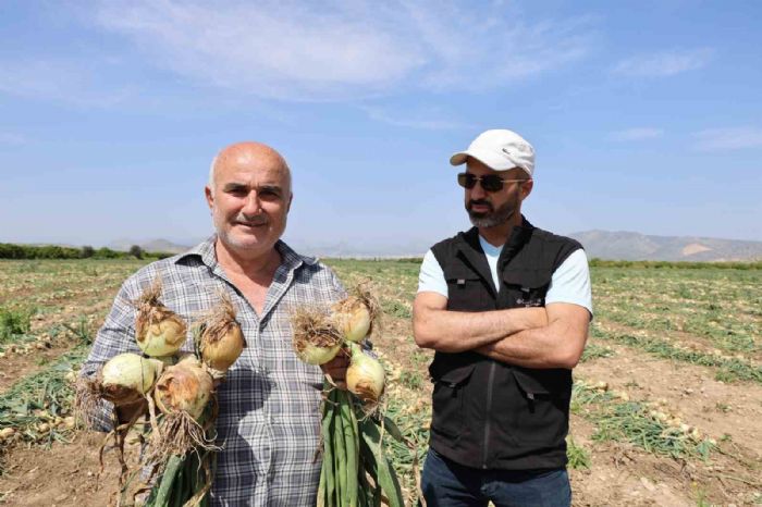Soğan yüz güldürdü