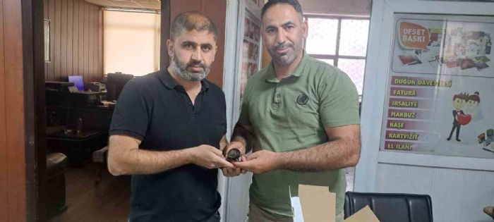 Yaralı halde bulunan ebabil kuşu doğa koruma ekiplerine teslim edildi