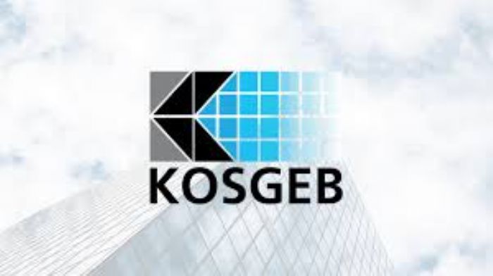 Yerel Girişimcilik Destekleri ve KOSGEB Hibeleriyle Yeni İş Fırsatları